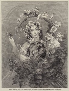 Lilia i Róża autorstwa Joseph Kenny Meadows